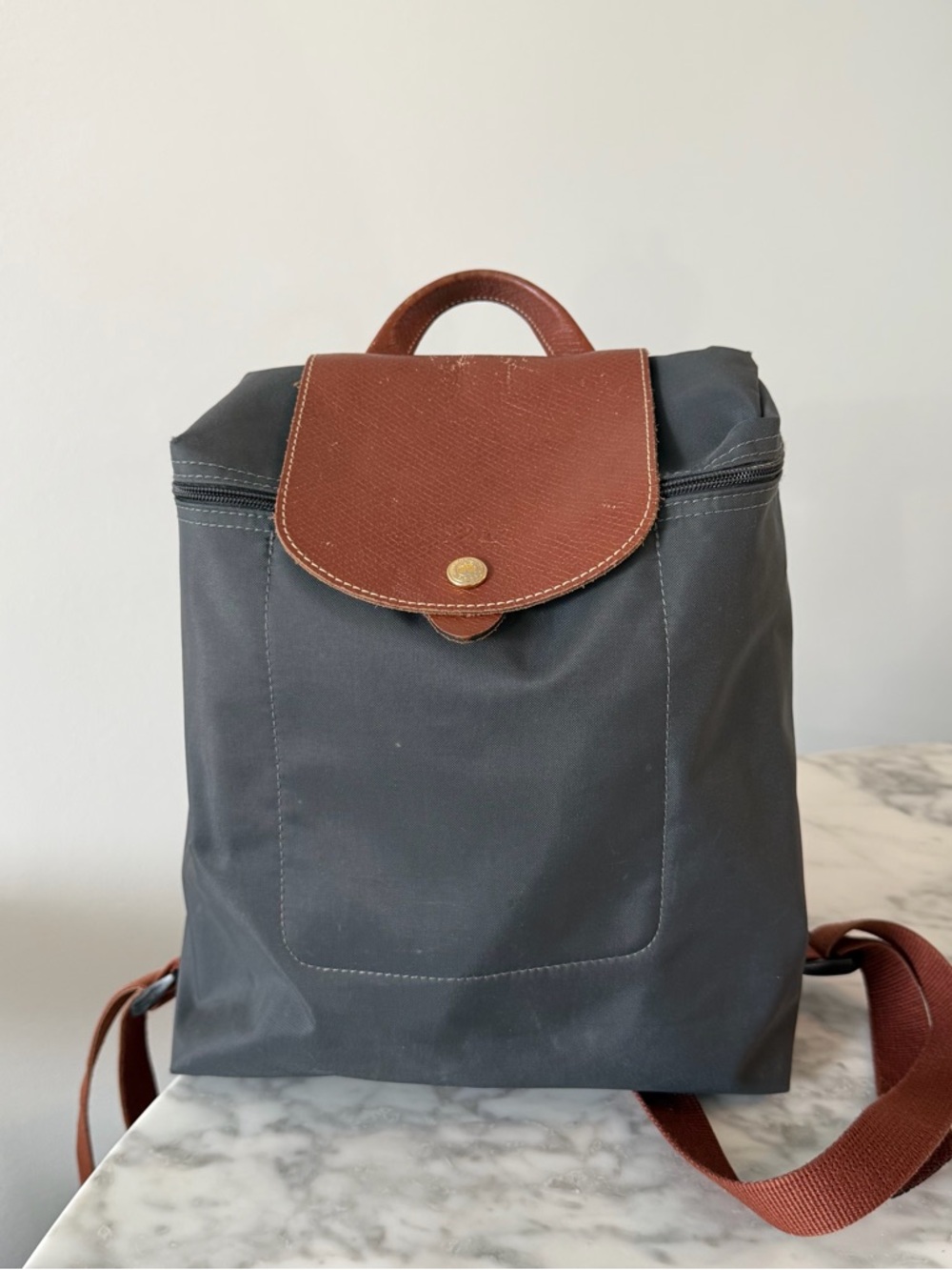 Longchamp Le Pilage backpack/ bag